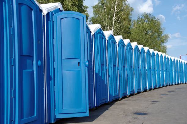 Best Porta potty rental for festivals  in Saranac, MI